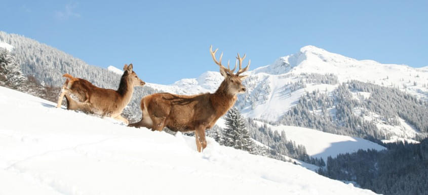 Bilder der Region